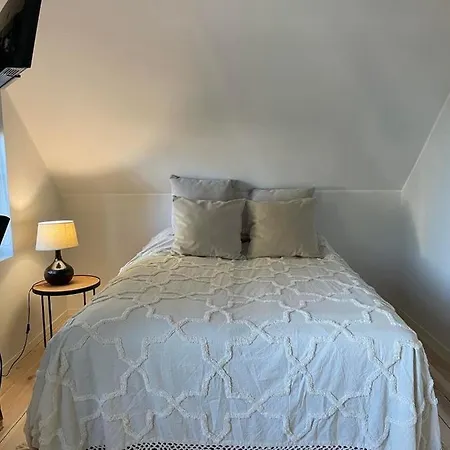 Elsa In The Area Parnu