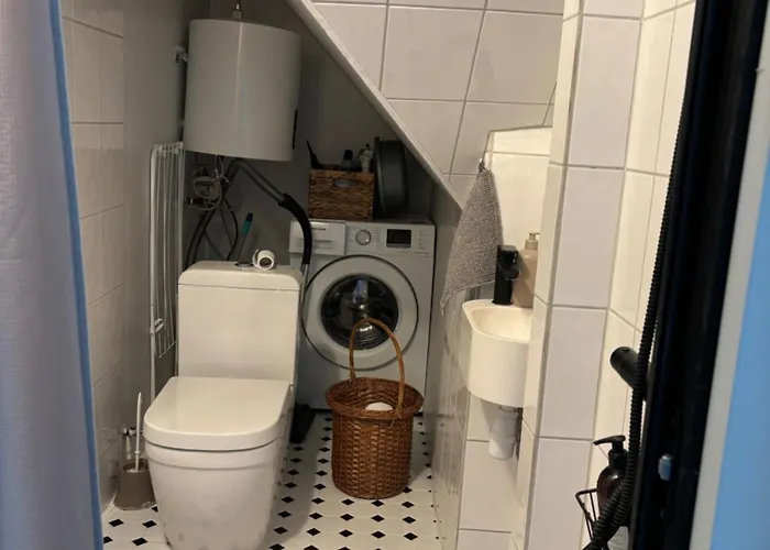 Elsa In The Area Pärnu