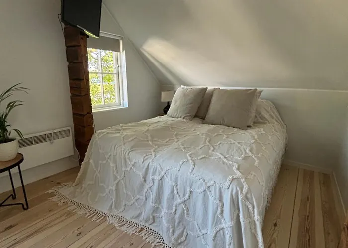 Elsa In The Area Pärnu